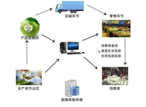 農(nóng)產(chǎn)品溯源系統(tǒng)的核心功能與信息系統(tǒng)集成服務(wù)深度解析